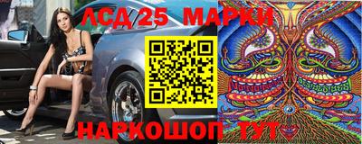 скорость Кимры