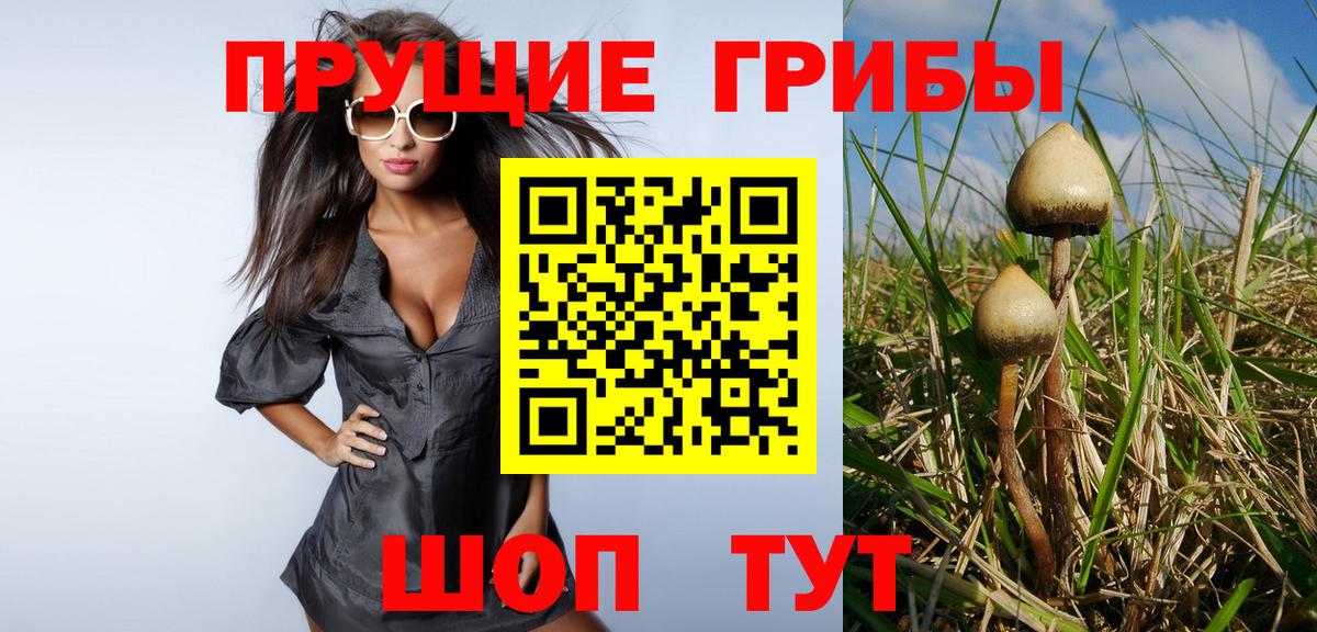 Галлюциногенные грибы прущие грибы  Вход с VPN  Псилоцибиновые грибы мицелий  Костомукша 